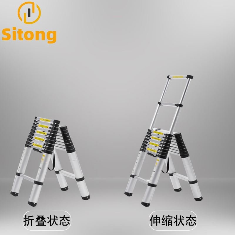 Double Telescopic Ladder detail view 3